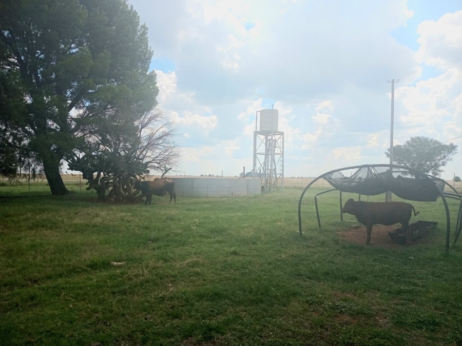 4 Bedroom Property for Sale in Bloemhof Rural North West
